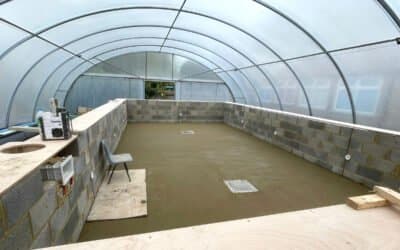 Screed base – swimming pool – Walgrave school, Northamptonshire – 46㎡